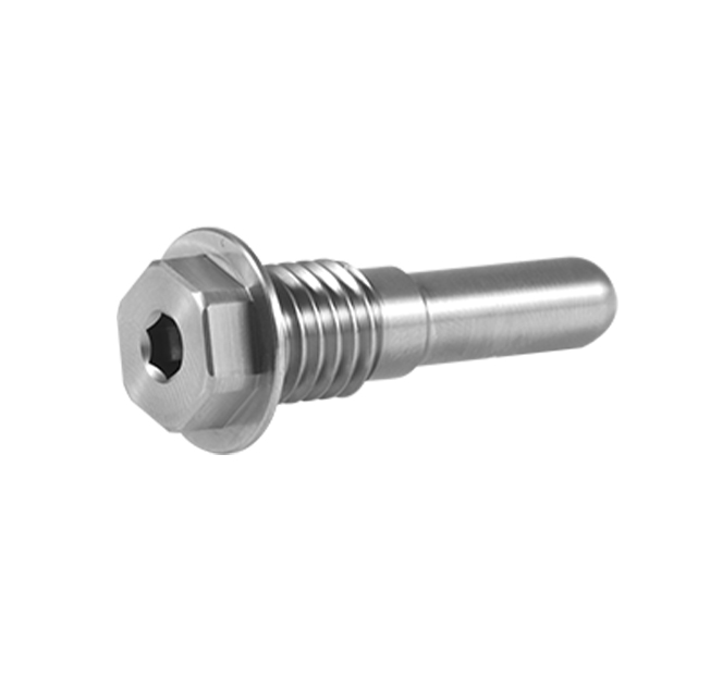 Metal non-standard screws / special-shaped bolts